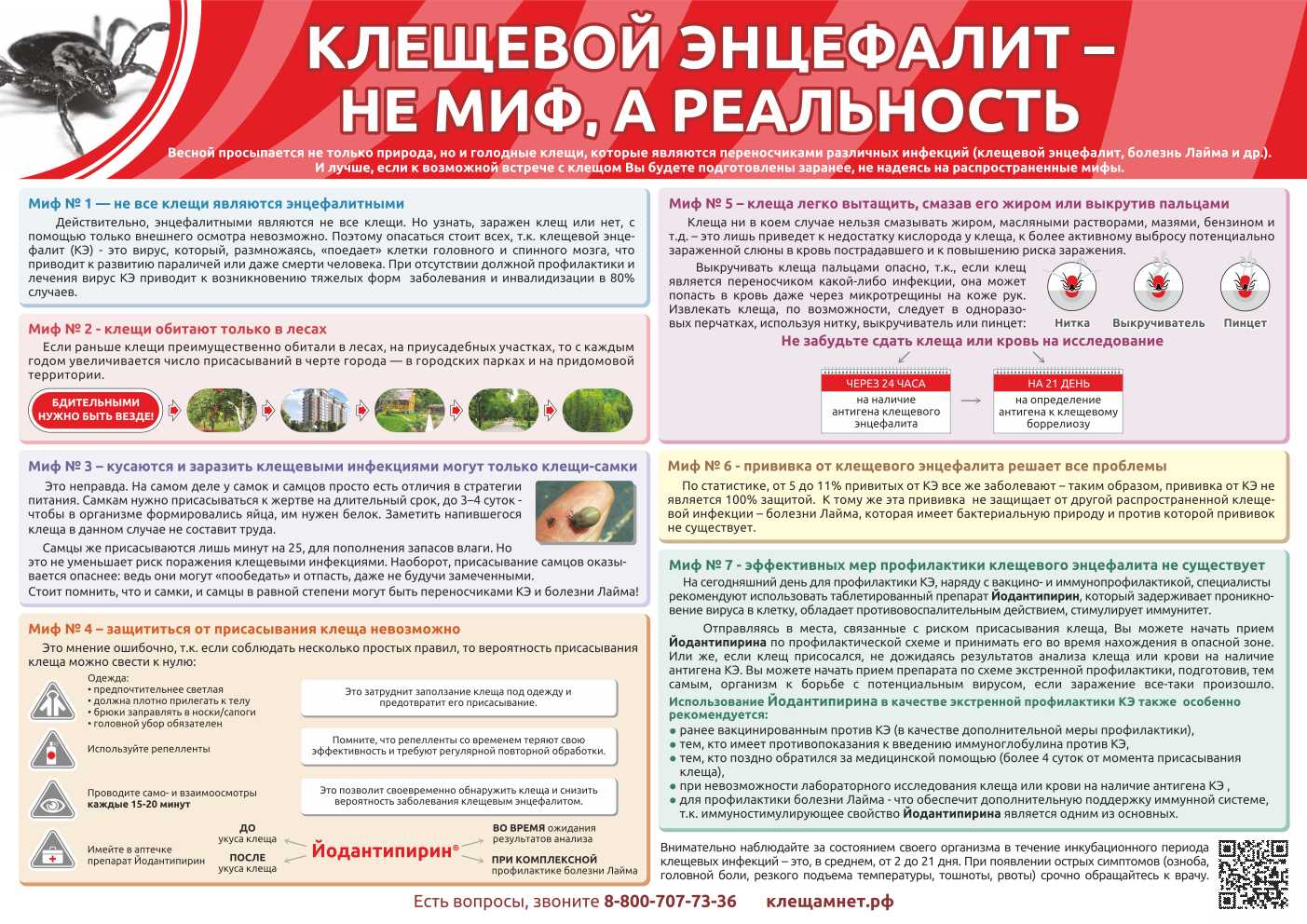 КЛЕЩЕВОЙ ВИРУСНЫЙ ЭНЦЕФАЛИТ